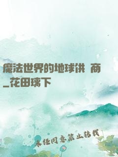 魔法世界的地球供貨商