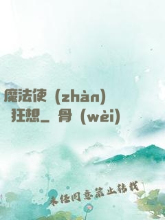 魔法使戰(zhàn)記狂想