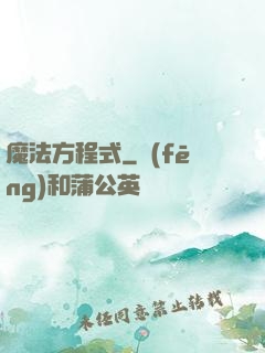 魔法方程式