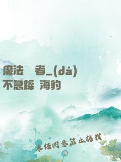 魔法編譯者