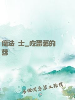 魔法騎士