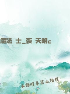 魔法騎士