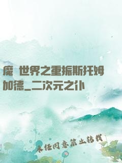 魔獸世界之重振斯托姆加德