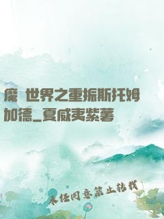 魔獸世界之重振斯托姆加德