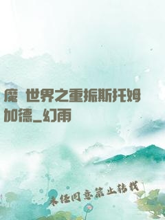 魔獸世界之重振斯托姆加德