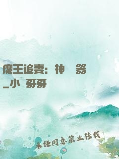 魔王追妻：神級煉器師