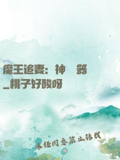 魔王追妻：神級煉器師