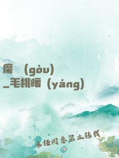 魔紋構(gòu)裝師