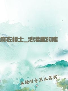 麻衣相士