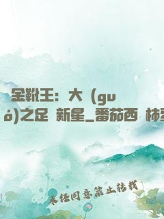 黃金靴王：大國(guó)之足壇新星