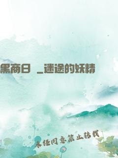 黑商日記