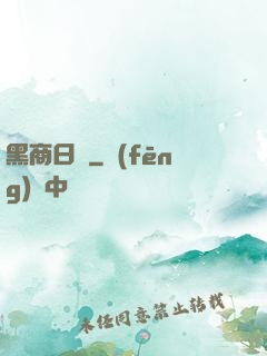黑商日記