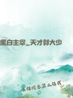 黑白主宰