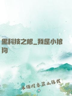 黑科技之眼