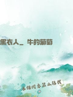 黑衣人