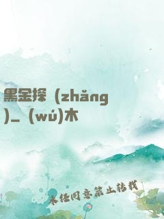 黑金探長(zhǎng)
