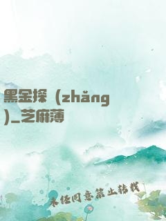 黑金探長(zhǎng)