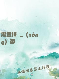 黑金探長