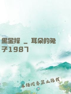 黑金探長
