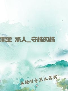 黑金繼承人