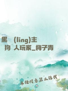 黑龍領(lǐng)主與狗頭人玩家