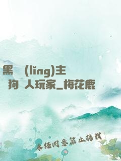 黑龍領(lǐng)主與狗頭人玩家