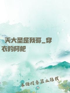 齊天大圣是我哥