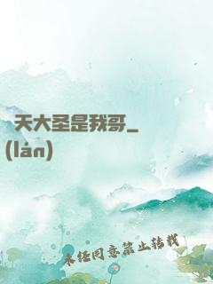 齊天大圣是我哥