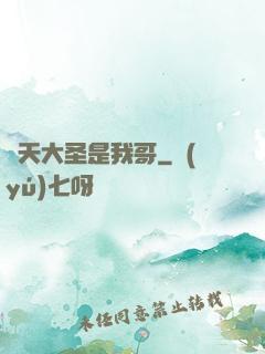 齊天大圣是我哥