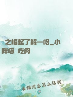 龍之崛起了解一哈