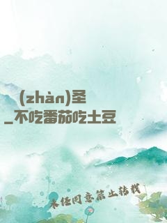 龍戰(zhàn)圣靈
