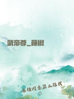 龍武帝尊