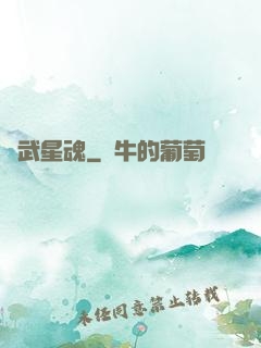 龍武星魂