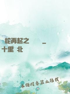 龍蛇再起之國術無敵