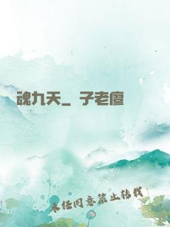 龍魂九天