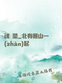 龍魂劍圣