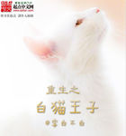 重生之白貓王子