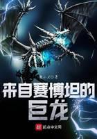 來自賽博坦的巨龍