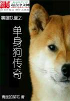 英雄聯(lián)盟之單身狗傳奇